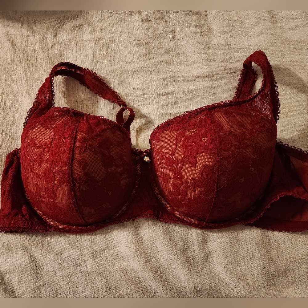 Adore Me Deep Red Lace Bra